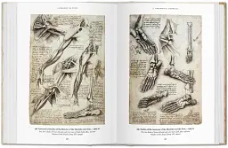Leonardo da Vinci. The complete Drawings - мініатюра 4