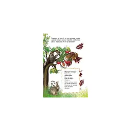 Книга Природа. Енциклопедія дошкільника - Юлія Каспарова Ранок (9786170928313) - мініатюра 4