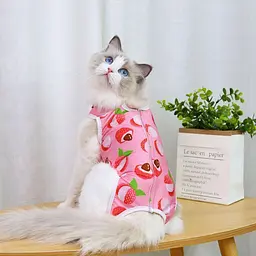 Одяг для котів після операції Holley Litchi S - мініатюра 5