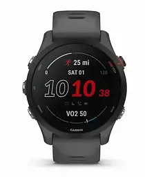 Смарт-годинник Garmin Forerunner 255 Slate Grey (010-02641-00/10/43) - мініатюра 2