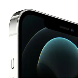 Apple iPhone 12 Pro Max 128 GB Silver (Grade C) Seller Refurbished - мініатюра 2