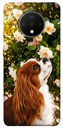 TPU чохол Demsky Flower spaniel для OnePlus 7T