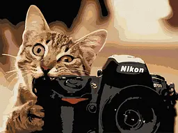 Картина за номерами. Art Craft "Пухнастий фотограф" 40 * 50 см 11608-AC