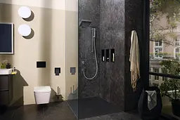 Верхній душ Hansgrohe Pulsify 260 2jet EcoSmart chrome 24351000 - мініатюра 4