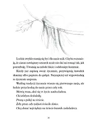 Drzewo zyczen - мініатюра 8