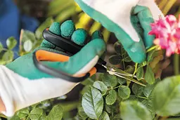 Ножиці Fiskars Solid Softgrip SP15 для мікрообрізки (1051602) - мініатюра 7