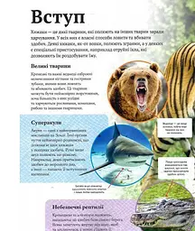 Дитяча енциклопедія хижаків kni0003834 - мініатюра 4