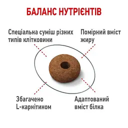Сухий корм для стерилізованих котів схильних до набору зайвої ваги Royal Canin Appetite Control 2 кг (25630209) - мініатюра 5
