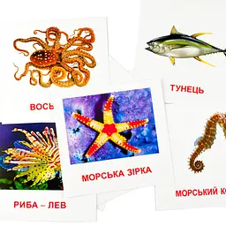 Розвиваючі картки "Морські мешканці" (110х110 мм) 72752 укр. /англ. мовою - мініатюра 2