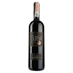 Вино Feudo Principi di Butera, Surya Rosso 2019, красное, сухое, 13,5%, 0,75 л (37668)