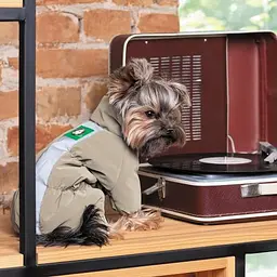 Комбінезон Pet Fashion Ego для собак, розмір XS2, бежевий - мініатюра 6