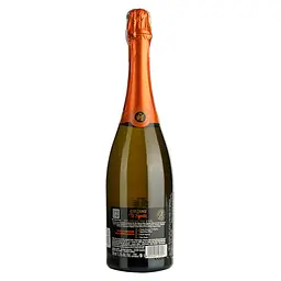 Подарунковий набір Campari Spritz: настоянка Campari 25% 0.7 л + Вино ігристе Cinzano To Spritz біле сухе 0.75 л - мініатюра 12