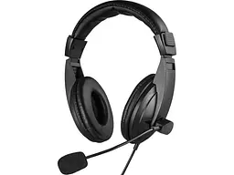 Навушники з мікрофоном Sandberg Saver Large Black (325-28)