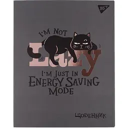Щоденник шкільний інтегральний Yes Lazy cat 911564