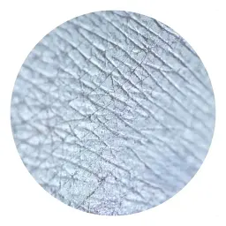 Розсипчасті тіні Sinart Make-Up With Passion тон 51 (Silver White) 1 г - мініатюра 2