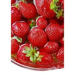 Саджанець Agro-Market Полуниця Ерос 5шт (середній термін дозрівання) (37306) - мініатюра 6
