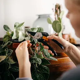 Секатор Fiskars Solid P121 Bypass до 18 мм (1057160) - мініатюра 5