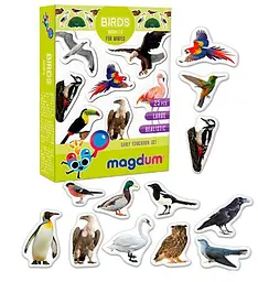Магнітна гра Vladi Toys ML4031-30 EN (70) "Magdum", "Birds. Рhoto", англ. мова Набір магнітів для дітей птахи - мініатюра 2