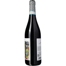 Вино SalvaTerra Valpolicella DOC Classico 2022 червоне сухе 13% 0.75 л - мініатюра 2