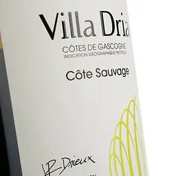 Вино Villa Dria Colombard-Sauvignon Igp Cotes De Gascogne, біле, сухе, 0,75 л (917839) - мініатюра 5