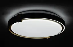 COLISEUM матовий 80W 480*70мм 3000К-6500К з ДК чорне золото - мініатюра 6