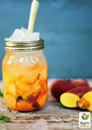 Саджанець Agro-Market Персик жовтий з яскравим рум'янцем Тропічний рай (Tropical paradise) (англійська селекція, преміальний високоврожайний сорт) 1 шт. в упаковці (39930) - мініатюра 2
