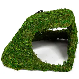 Схованка з живим мохом Repti-Zoo Natural Mossy Hill 26x18x13 см для тераріуму, рептилій і геконів (ERS30) - мініатюра 6