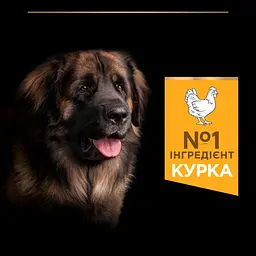 Сухий корм для дорослих собак великих порід Purina Pro Plan Large Robust Adult з куркою 14 кг (12375799) - мініатюра 7