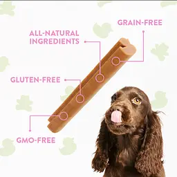 Натуральні ласощі для зубів цуценят WHIMZEES Puppy Dental Care Dog Treat M/L 14 шт. - мініатюра 3