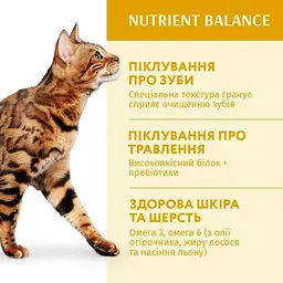 Сухий корм Optimeal для  дорослих котів з куркою 1.5 кг - мініатюра 3