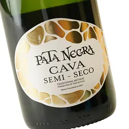 Вино игристое Pata Negra Cava Semi Seco, 11,5%, 0,75 л (AT3C010) - мініатюра 5