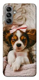TPU чохол Demsky Sleepy spaniel для Samsung Galaxy A04s
