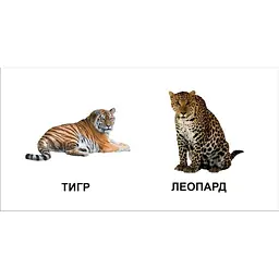 Карамелька. Звірята - Лілія Гуменна (9786175911082) - мініатюра 2
