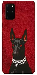 TPU чохол Demsky Premium doberman для Samsung Galaxy S20+