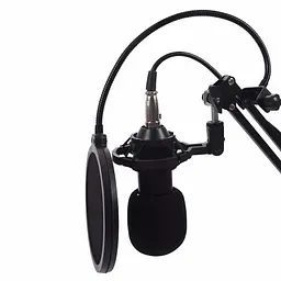 Мікрофон XPRO DM-800 студійний з підсилювачем (DM 800_832) - мініатюра 4