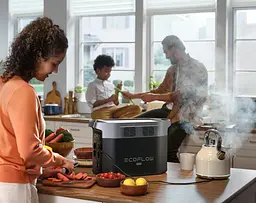 Зарядна станція EcoFlow Delta 2 (1024 Вт·год) 1800 Вт 4 розетки екофлоу x-boost 2700Вт - мініатюра 6