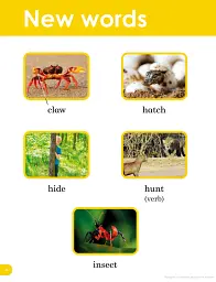 Do You Know? Level 1 Animal Sounds. BBC Earth - мініатюра 3