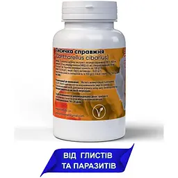 Лисичка 400 мг при млявому травленні потребі у підтримці печінки та ШКТ 60 капсул - мініатюра 2