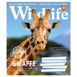 Набір зошитів Yes Wildlife A5 в лінію 96 листів 5 шт. - мініатюра 5
