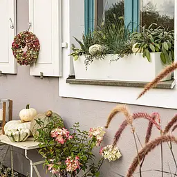 Вазон Lechuza Balconera Color, 12 л, білий (15680) - мініатюра 6