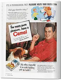 All-American Ads of the 50s - мініатюра 2