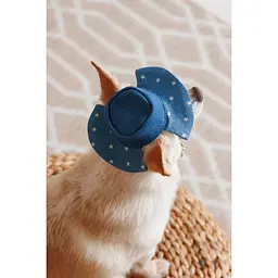Панама Pet Fashion Stars для собак XS - мініатюра 5