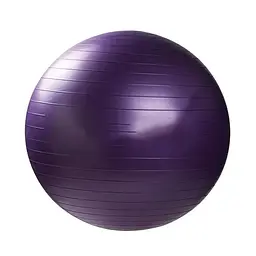 М'яч для фітнесу (Фітбол) BT-SFB-0004(Violet) розмір 65 см