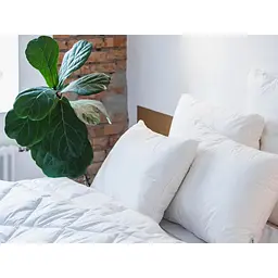 Подушка Ecotton Premium Line White 50х70 см (25069) - мініатюра 8