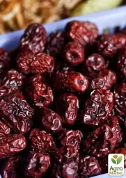 Саджанець Agro-Market Зизифус Я-цзао (перехресне запилення садити по 2 саджанця різного ґатунку) 1 шт. в упаковці (25926) - мініатюра 3