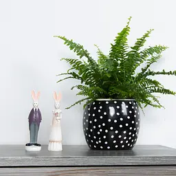 Ваза-кашпо МВМ My Home, 13 см, чорна (DH-FLOWERS-27 BLACK) - мініатюра 2