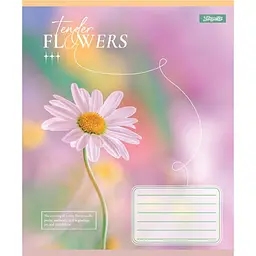 Набір зошитів 1 вересня Tender Flowers А5, 24 аркуші 20 шт. (768077) - мініатюра 5