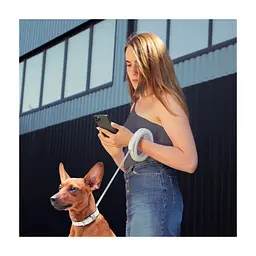 Повідець для собак WAUDOG R-leash світловідбиваюча стрічка XS-M до 40 кг 2.9 м білий (812715) - мініатюра 5