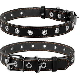 Нашийник для собак Collar безрозмірний (4820082491895)