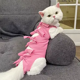 Одяг для котів після операції Holley Bow-knots Pink M